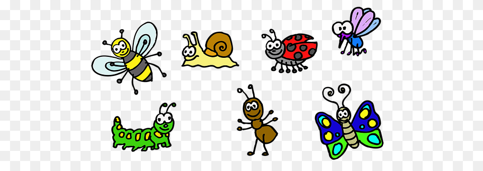 Insect Animal, Bee, Invertebrate Png Image