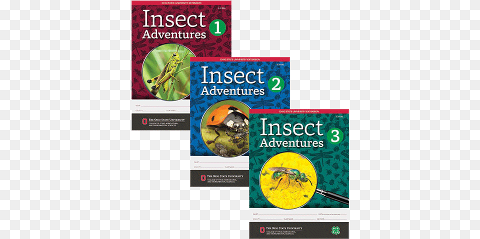 Insect Adventures Book Cover, Advertisement, Animal, Bee, Invertebrate Free Png Download