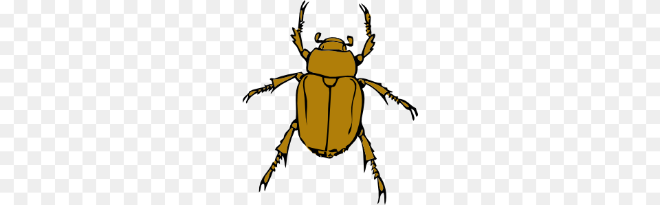 Insect Clip Art, Animal, Dung Beetle, Invertebrate, Person Free Transparent Png