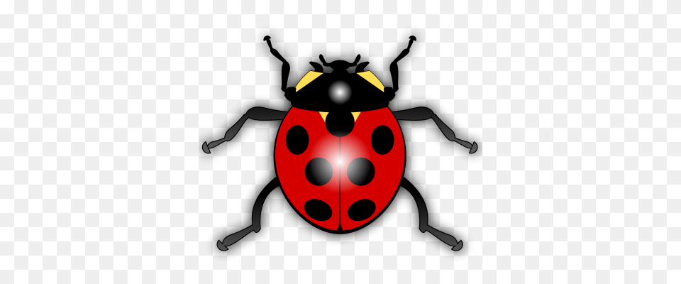 Insect Clip Art Clipart Photo, Animal Free Png Download