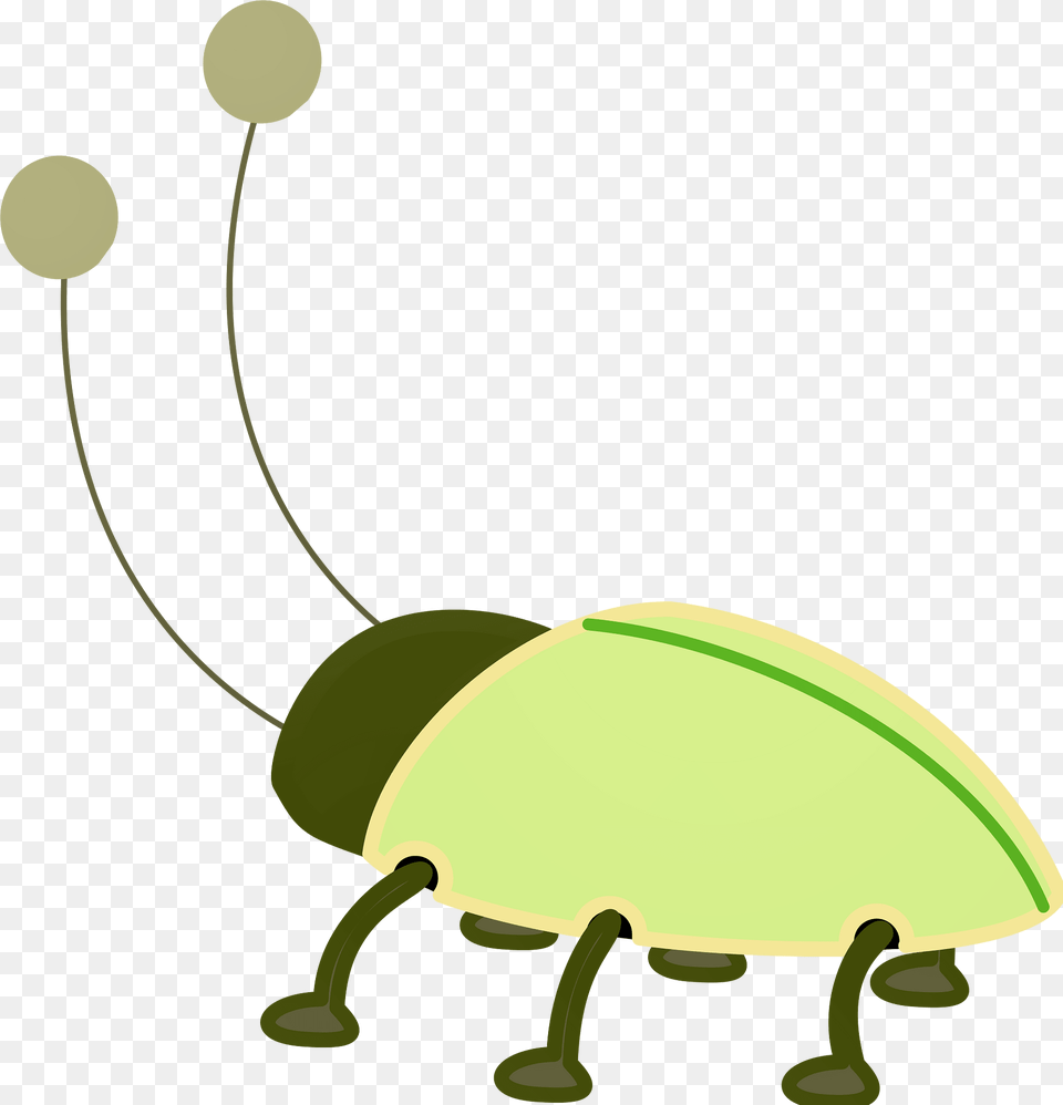 Insect Clipart, Animal Free Png Download