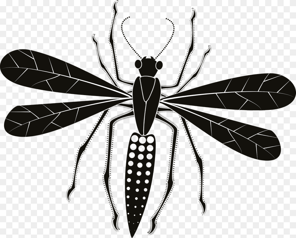 Insect Clipart, Animal, Bee, Invertebrate, Wasp Free Png Download