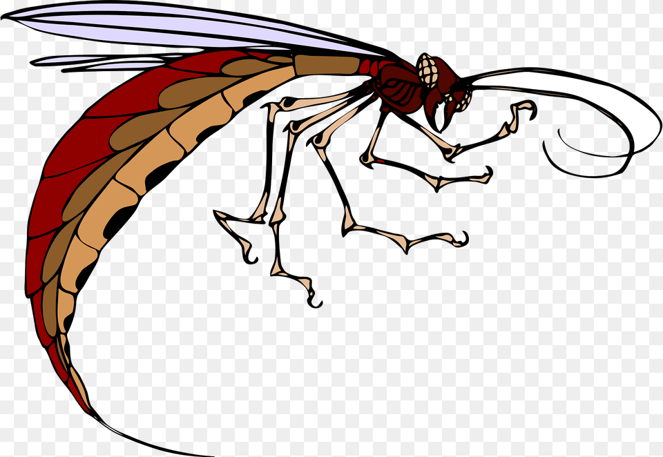 Insect Clipart, Animal, Bee, Invertebrate, Wasp Free Transparent Png