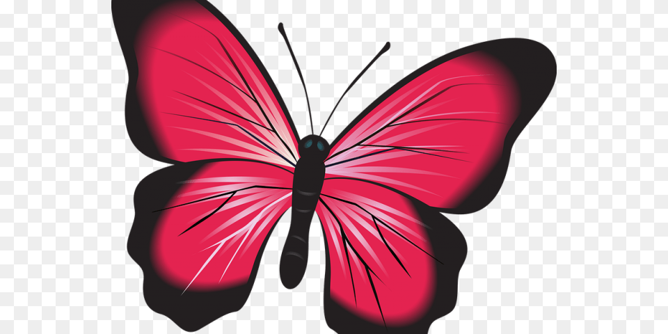 Insect Clipart Butterfly Papillon Clipart, Art, Person, Animal, Invertebrate Free Png Download