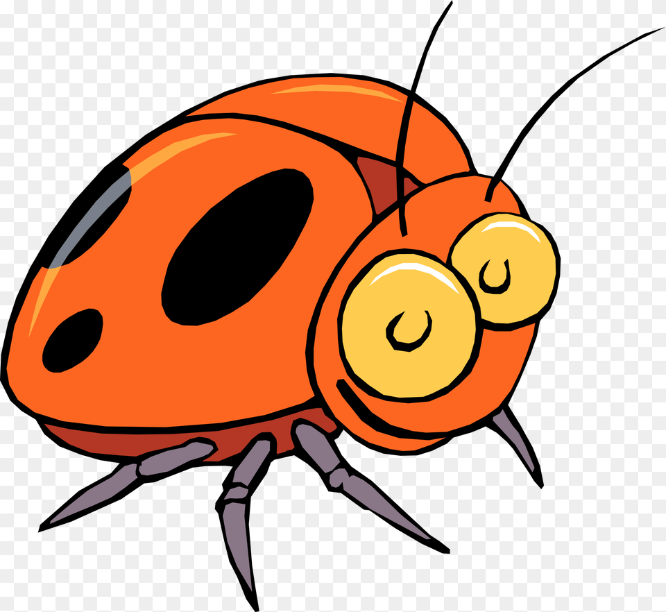 Insect Clipart Cliparts Co Beetle Clipart, Animal, Fish, Sea Life, Shark Free Png