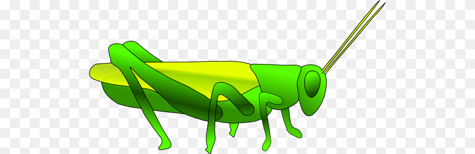 Insect Clipart Plague Locust, Animal, Grasshopper, Invertebrate, Fish Png