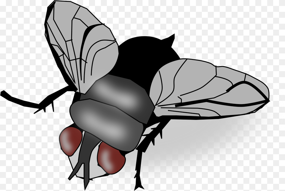Insect Fly Clip Art House Fly Clipart, Animal, Bee, Invertebrate, Wasp Png Image