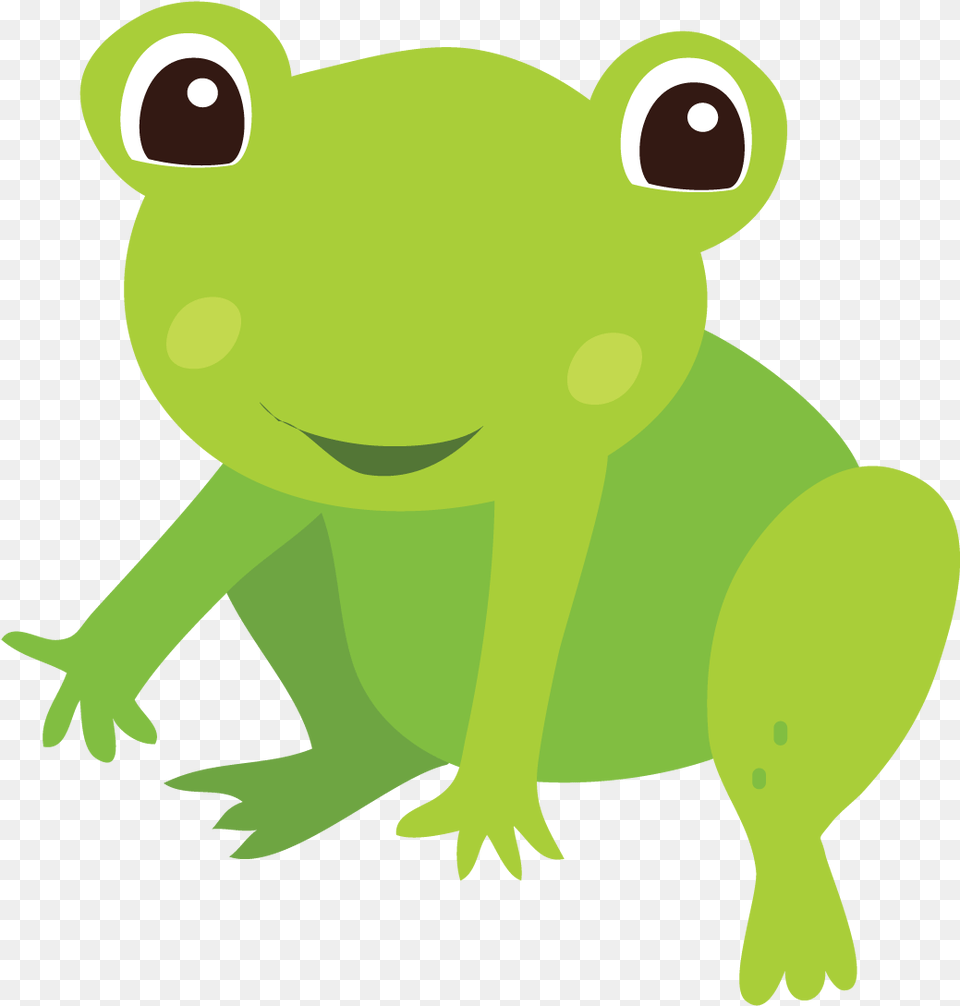 Insect Frog Animal Clip Art, Amphibian, Wildlife, Bear, Mammal Free Png Download