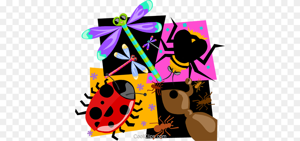 Insect Lady Bug Ant Bee Dragon Fly Royalty Vector Clip Art, Animal, Person Free Png