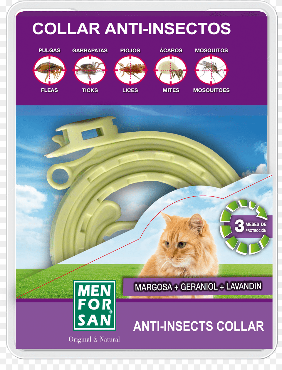 Insect Repellent Collar For Cats, Animal, Cat, Mammal, Pet Free Png Download
