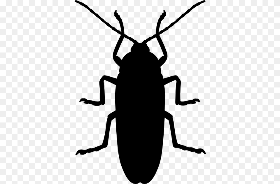 Insect Silhouette, Gray Png