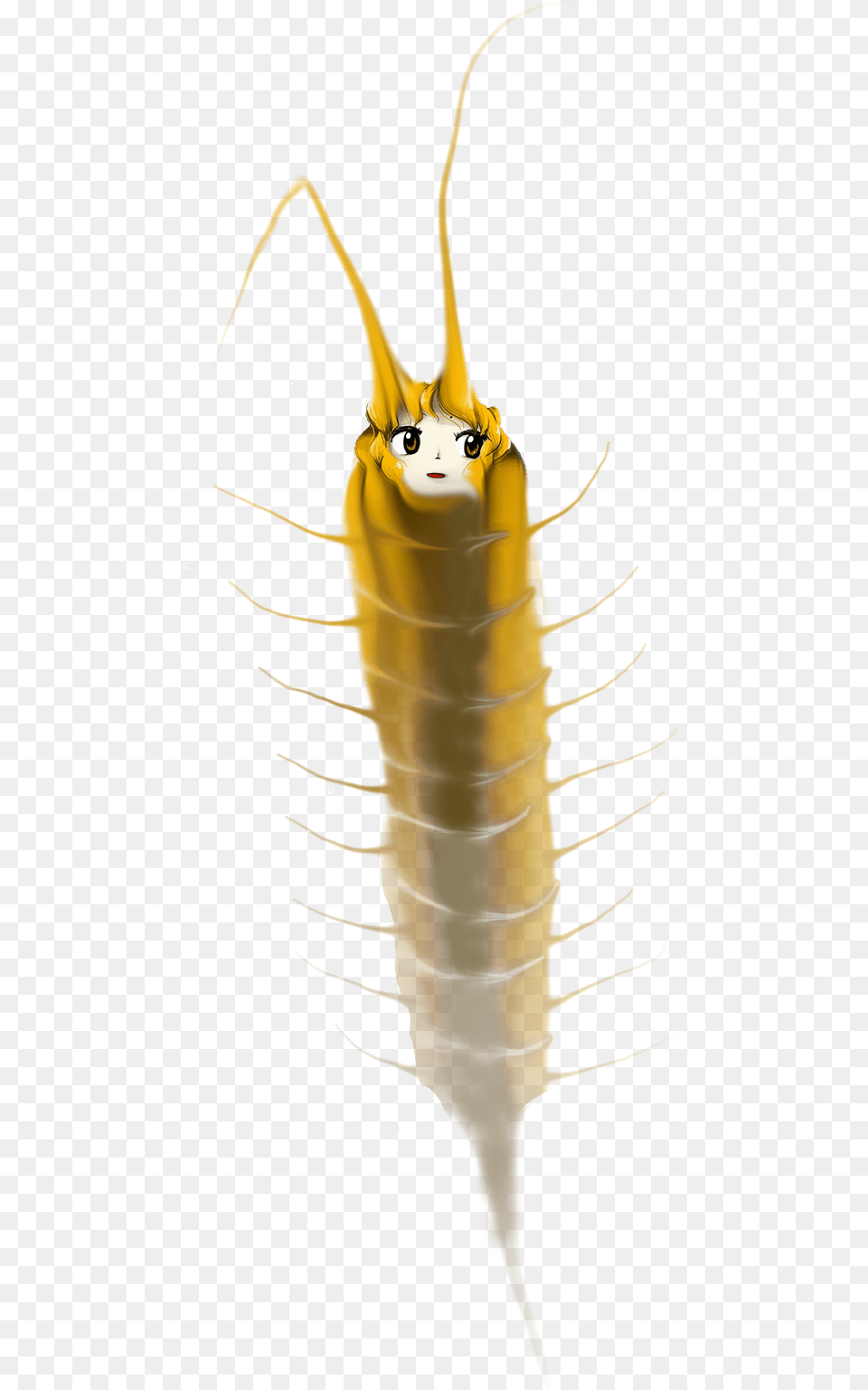 Insect Silverfish Invertebrate Insect, Animal, Person Free Png Download