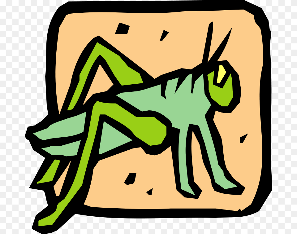Insect Vector, Animal, Grasshopper, Invertebrate, Cricket Insect Free Png Download