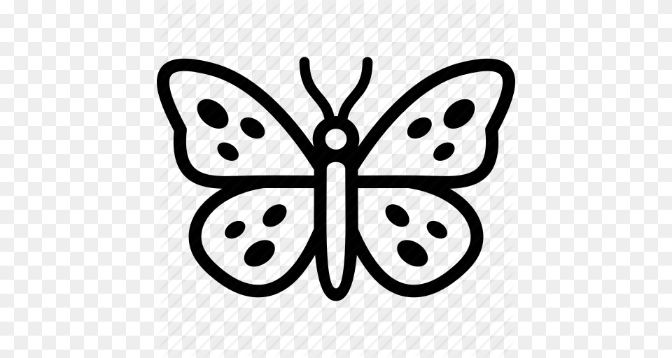Insects, Animal, Butterfly, Insect, Invertebrate Free Png Download