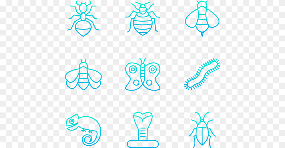 Insects Png Image