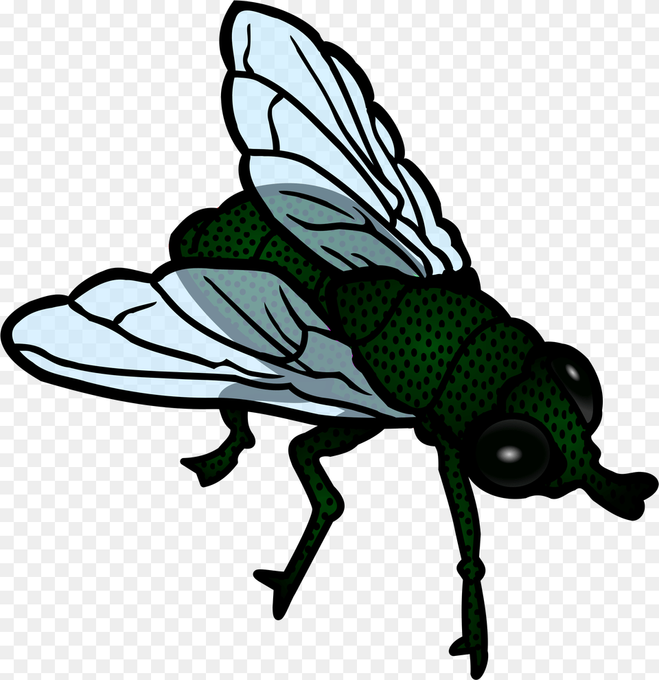 Insects Clipart Fly Fly Clipart Black And White, Animal, Insect, Invertebrate, Baby Png