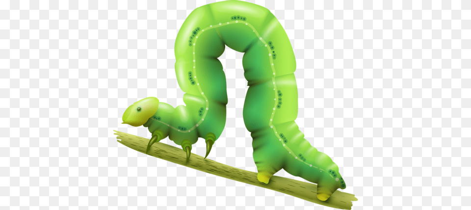 Insects Illustrations Vector Realistic Caterpillar Clip Art, Animal, Invertebrate, Worm, Green Free Png