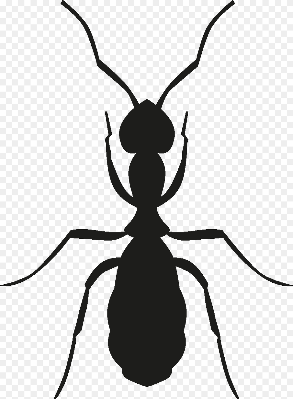 Insects Set Silhouette, Animal, Ant, Insect, Invertebrate Free Transparent Png