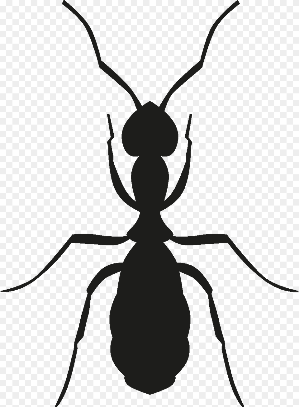 Insects Set Silhouette Animated Ant Images Walk, Animal, Insect, Invertebrate, Smoke Pipe Free Png Download