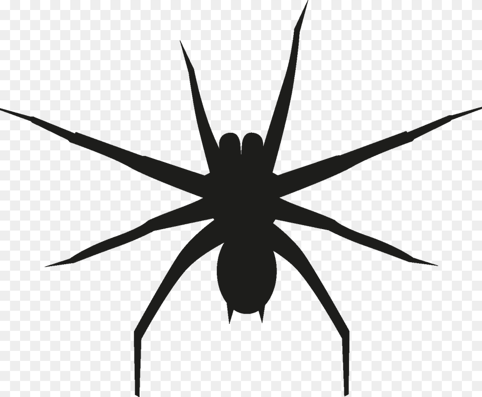Insects Set Silhouette Wolf Spider, Stencil, Animal, Invertebrate Free Png Download