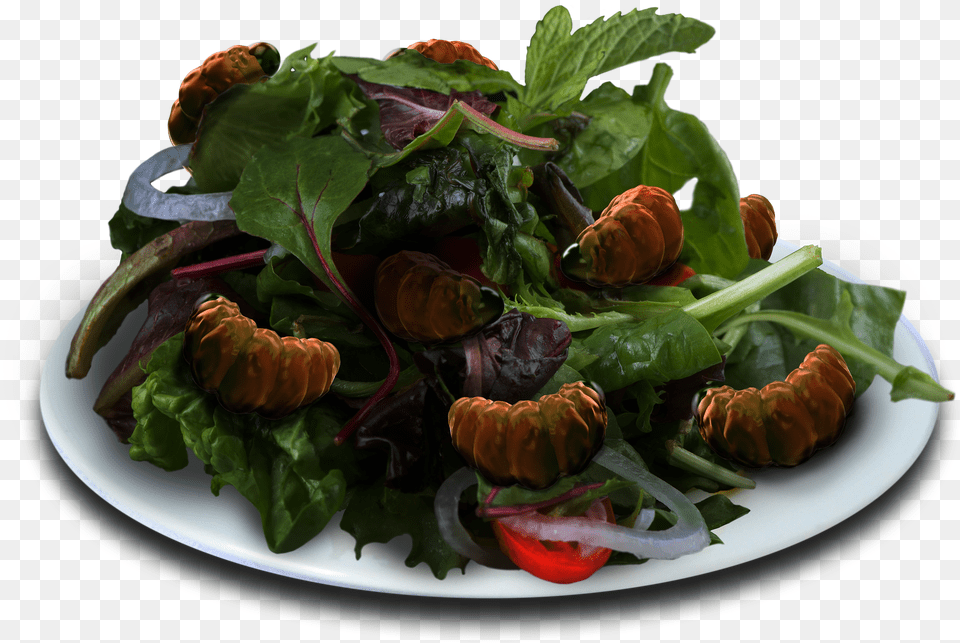 Insects Spinach Salad Free Png