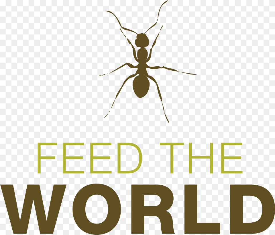 Insects To Feed The Worldhttp Change Start From You, Animal, Insect, Invertebrate, Ant Free Png