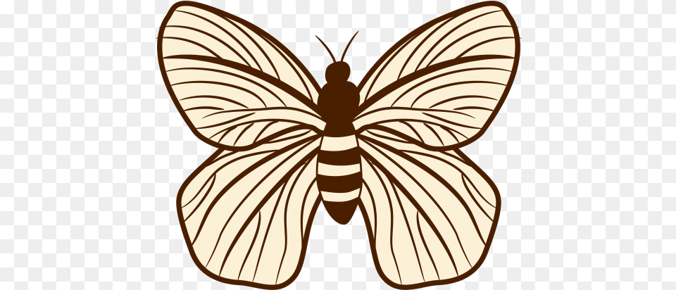 Insects Transparent Images Butterfly, Animal, Insect, Invertebrate, Moth Png Image