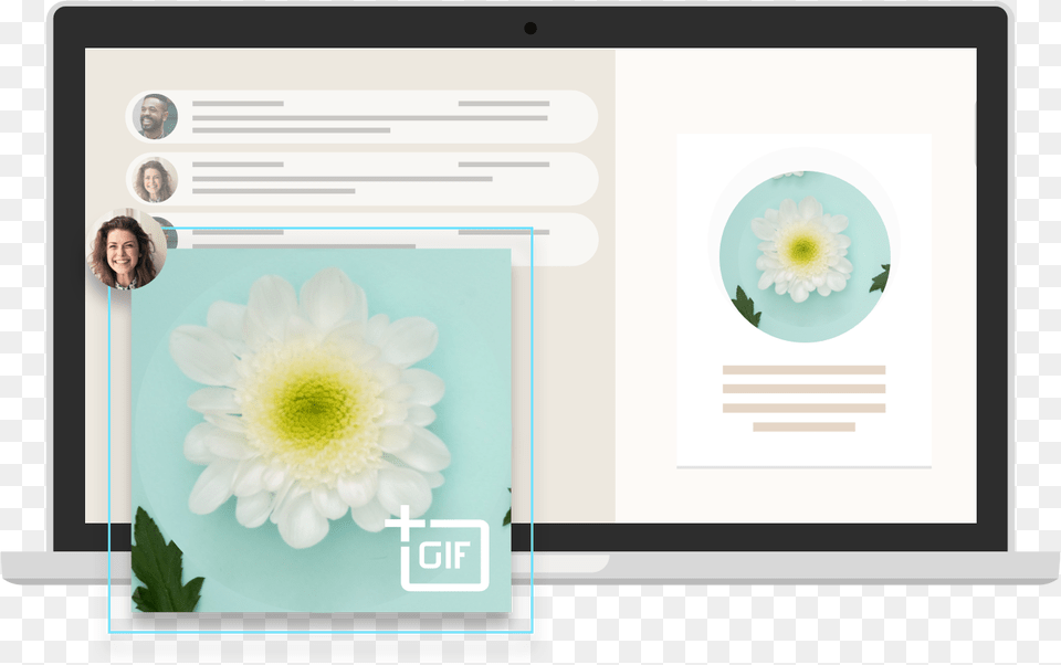 Insert Gif Into Google Slides, Daisy, Plant, Flower, File Free Png