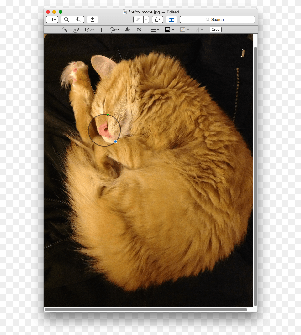 Inserted Loupe Cat Yawns, Animal, Pc, Mammal, Electronics Free Transparent Png