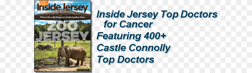 Inside Jersey Top Doctors For Cancer Physician, Animal, Zoo, Elephant, Mammal Free Png
