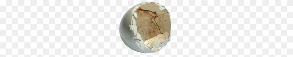 Inside Of Broken Eggshell, Mineral, Accessories, Gemstone, Jewelry Free Png Download