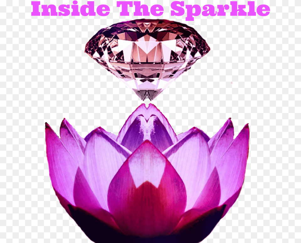 Inside The Sparkle Water Lily, Accessories, Diamond, Gemstone, Jewelry Free Transparent Png