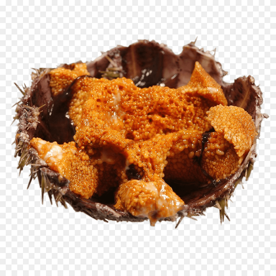 Insides Of Sea Urchin, Food, Fried Chicken, Food Presentation Png