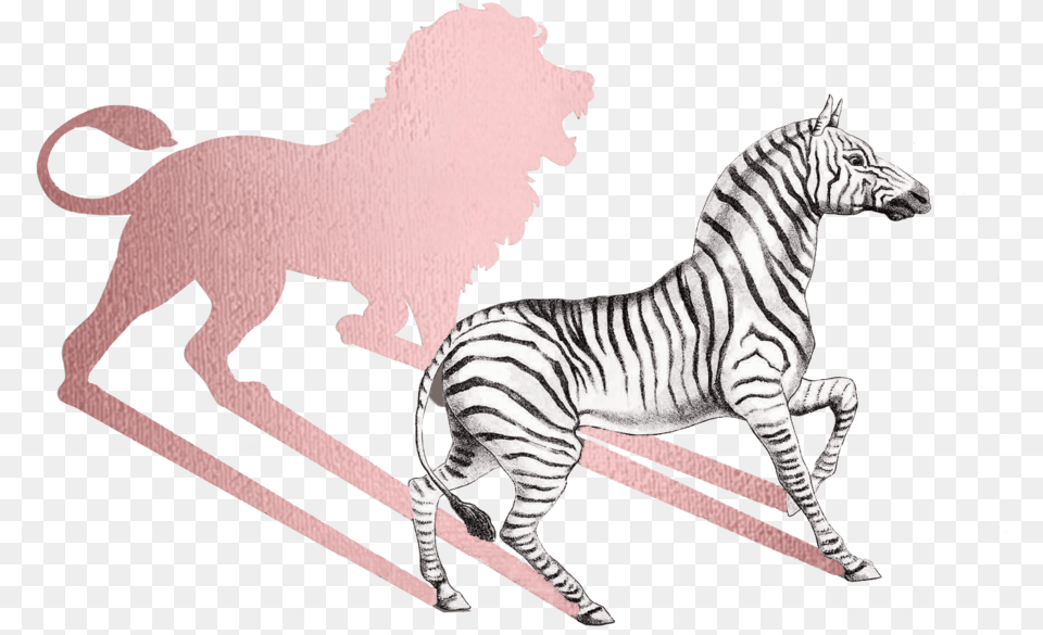 Insights U2014 Teresasandecom Foil Icon, Animal, Mammal, Wildlife, Zebra Png