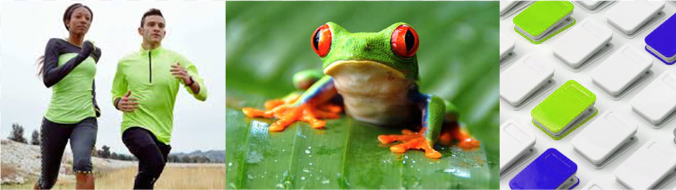 Inspiration Red Eyed Tree Frog, Adult, Person, Man, Male Free Png Download