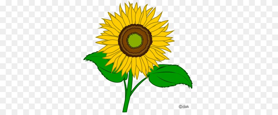 Inspirational Sunflower Clipart Flower Clip Art Clipart, Plant Png Image