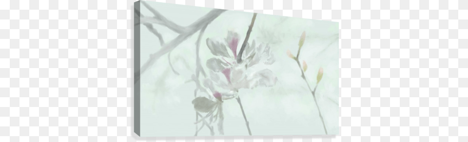 Inspire Flower Canvas Print Artist, Plant, Petal, Art, Cherry Blossom Free Png Download