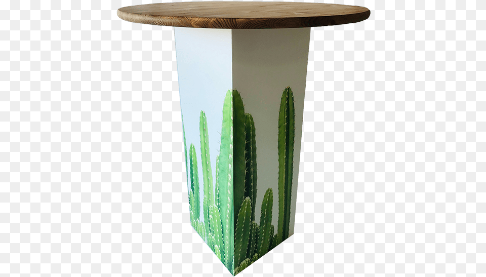 Inspired Environments Candle Cactus Glow Table Angle Outdoor Table, Plant, Potted Plant, Jar Png Image