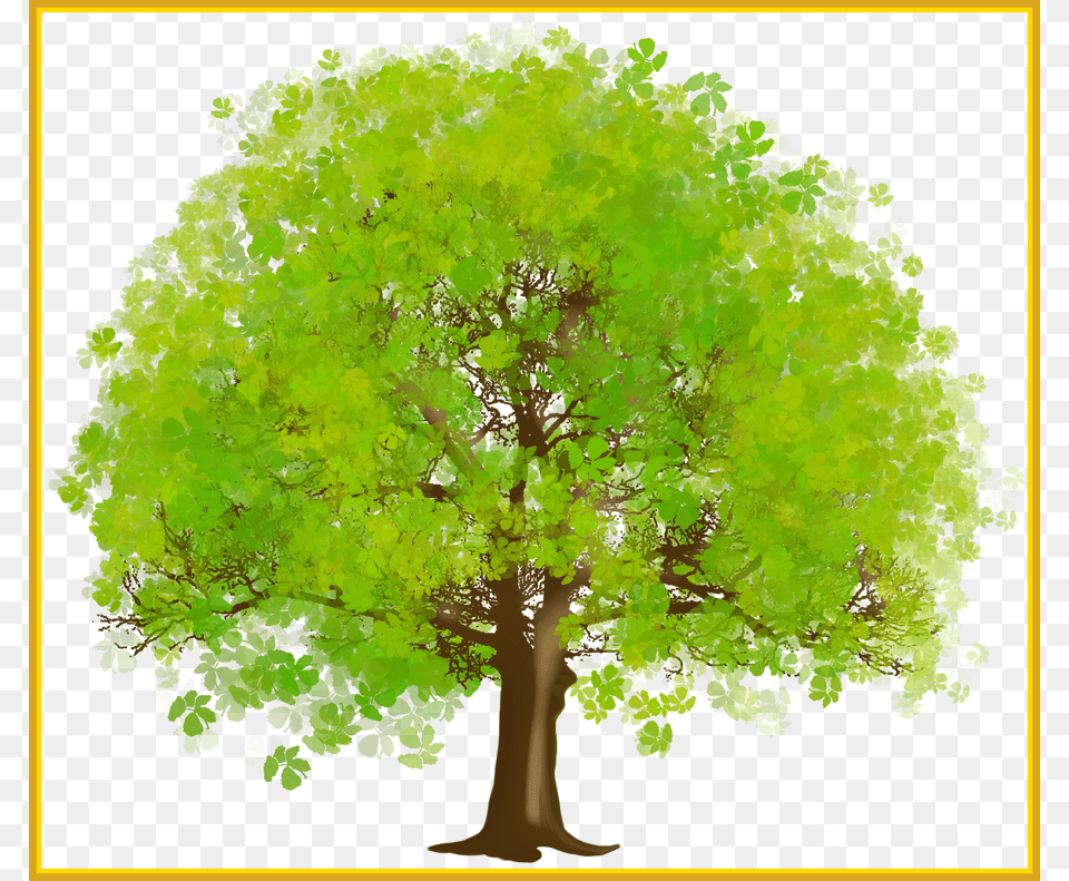 Inspiring Green Tree Tree Clipart, Sycamore, Oak, Plant, Vegetation Png