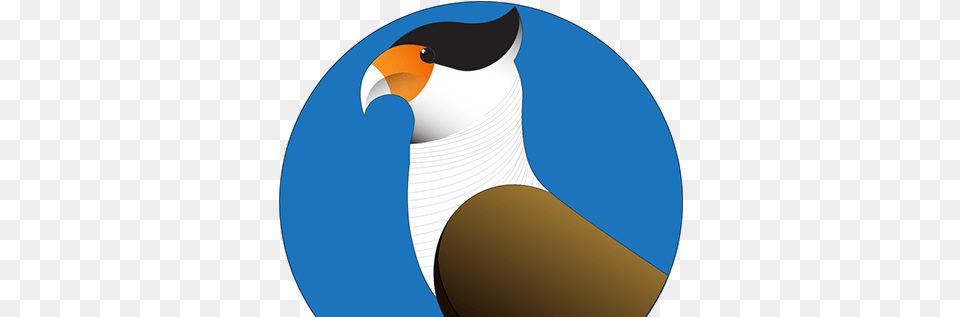 Inspration Projects Photos Videos Logos Illustrations Emperor Penguin, Animal, Beak, Bird, Vulture Png