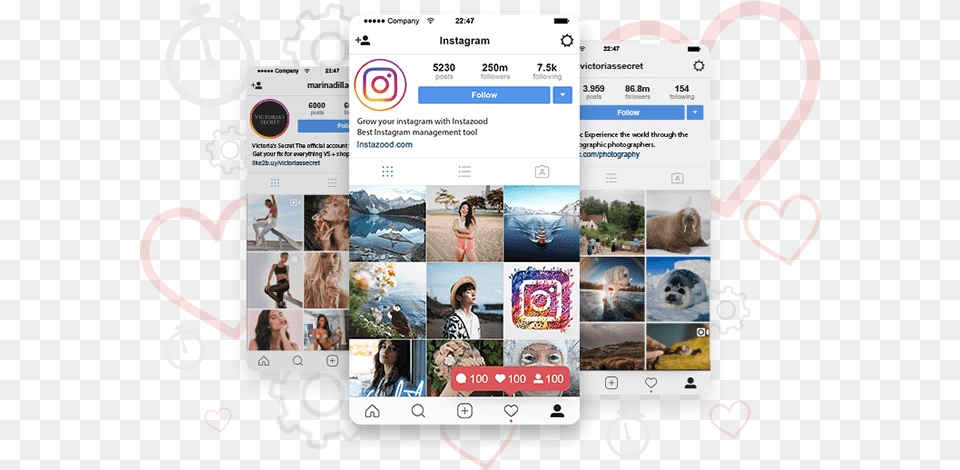 Instagram Bot With Auto Follow Unfollow Like Instagram, Animal, Mammal, Wildlife, Bear Png