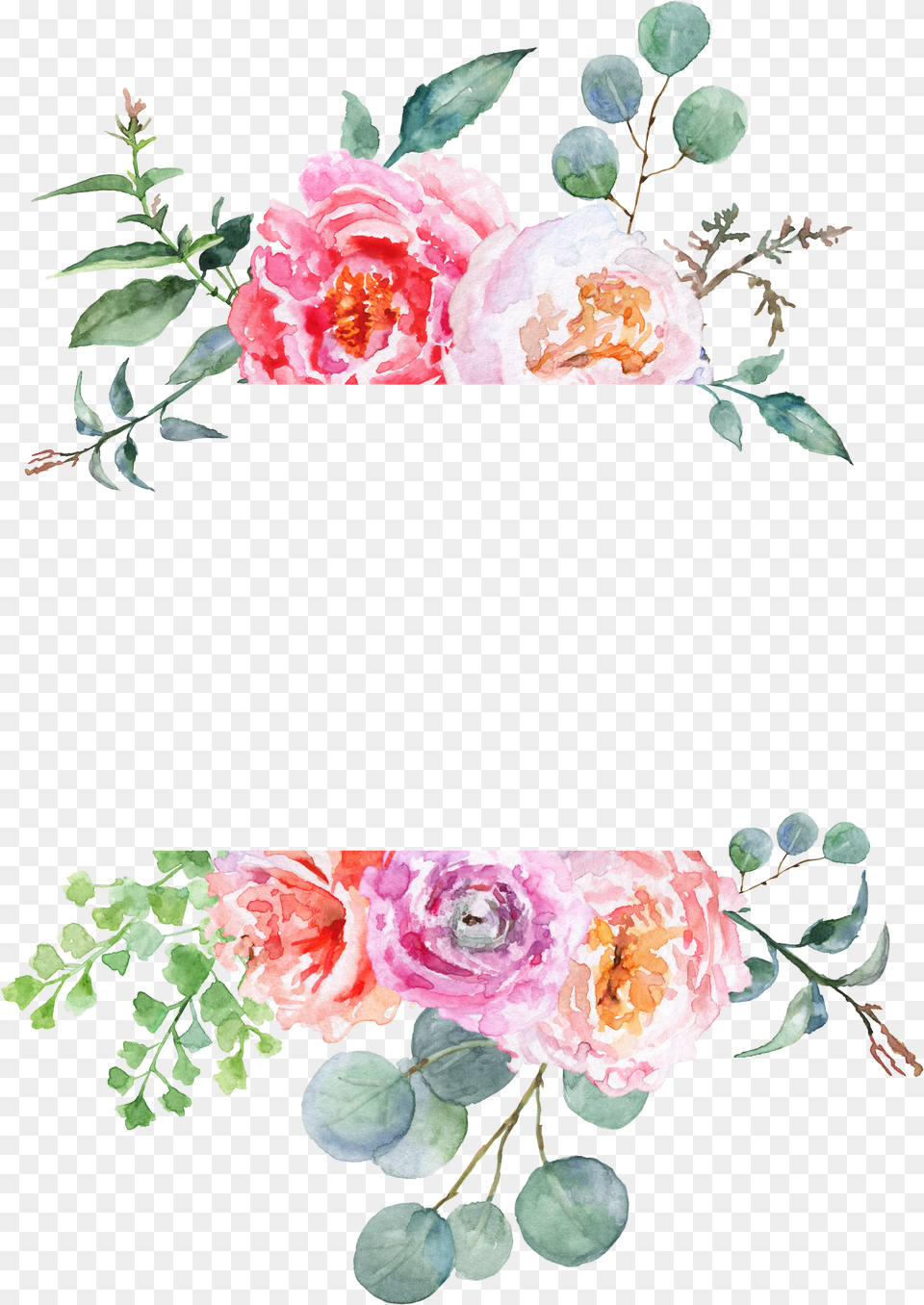 Instagram Flower Border, Plant, Rose, Petal, Art Png Image