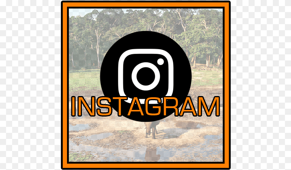 Instagram Icon Copy Poster, Photography, Plant, Vegetation, Land Free Png
