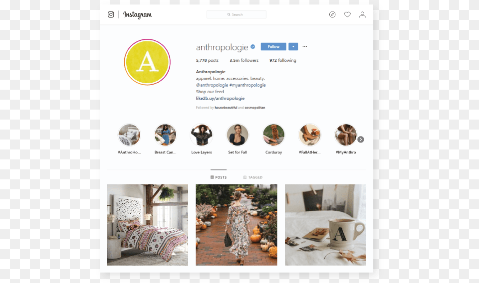 Instagram Icon Of New Likes And Followers Screenshot, Person, Home Decor, Cup, Cushion Free Transparent Png