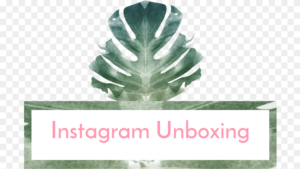 Instagram Unboxing Portable Network Graphics, Leaf, Plant, Animal, Reptile Png Image