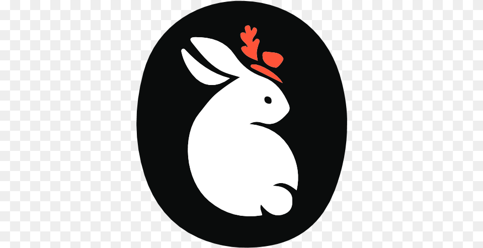 Instagram Viewer Download Logo Icon, Animal, Mammal, Rabbit, Baby Free Transparent Png