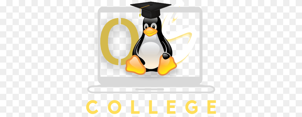Installing Libreoffice For Graduation, Person, People, Animal, Bird Png