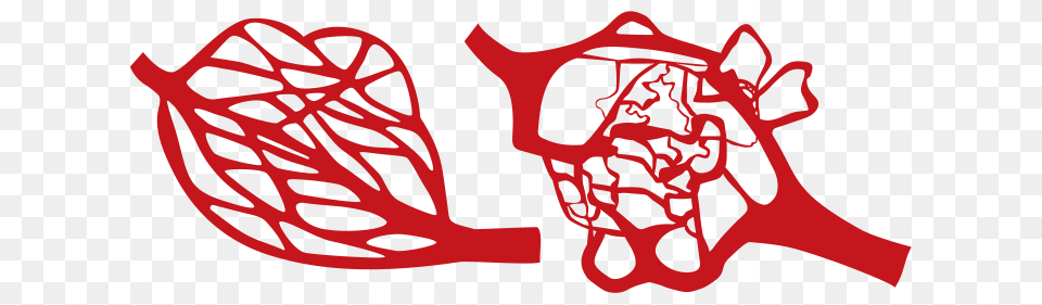 Instead Of Starving A Cancer Researchers Go After Its Defenses, Dynamite, Leaf, Plant, Weapon Png Image