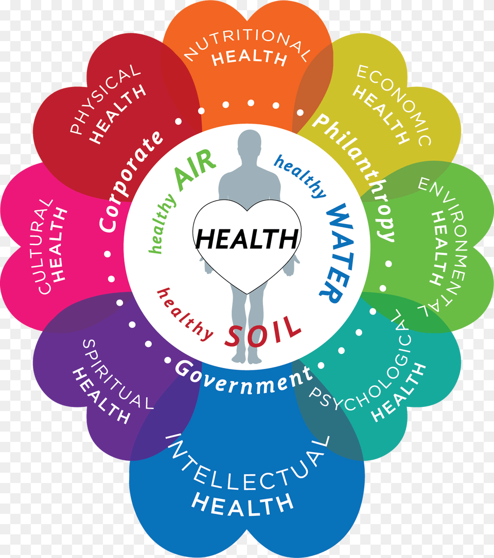Institute For Healthy, Adult, Male, Man, Person Png