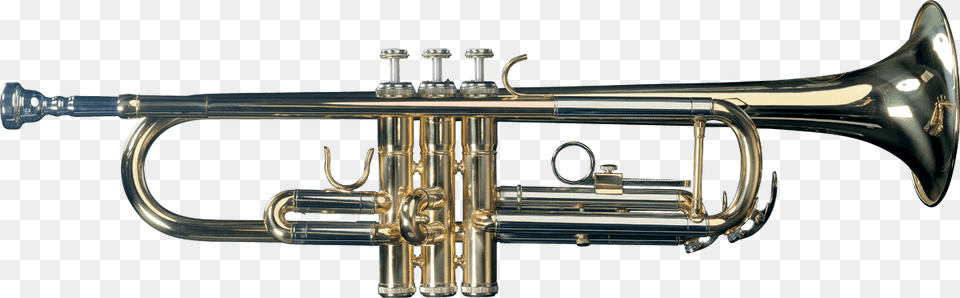 Instrumentos Viento Metal Sml Paris Trompeta Sib Tp300 Trompeta Sib Sml, Brass Section, Horn, Musical Instrument, Trumpet Free Png